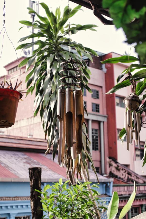 Hotel Rain Forest